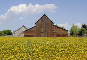 my rural roots hans christian ettengruber