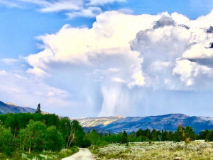 jason adamson summer thunderstorm