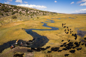 2024 rural utah robert stevens