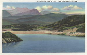 timp deer lake foldout postcard
